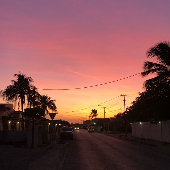 Meet your Posher, Louise - Picture 1 of 1